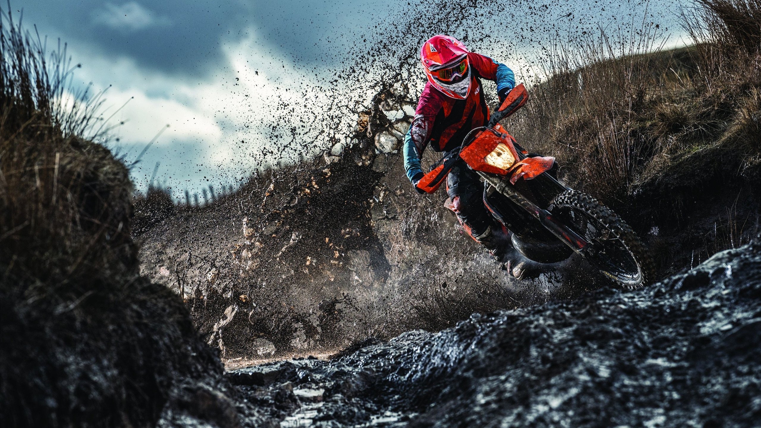 蒂姆迎来十赛季高光表现，RNG球迷沸腾！